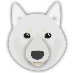 White shiba-inu