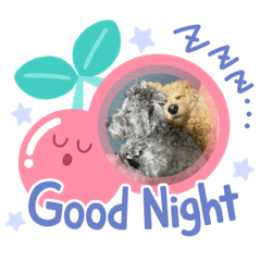 Sayuri_20221123120930