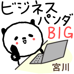 Panda Business Big Stickers for Miyagawa