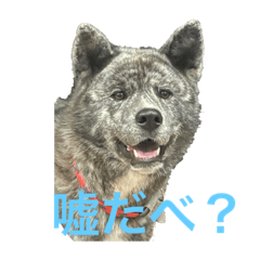hana_20221123104239