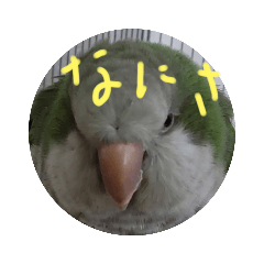 suzu_20221123105604