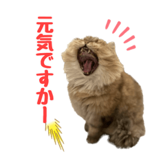 pochanekogram_muku_20221123122541