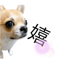 yuka_20221123142613