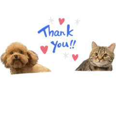 家有三寶寶寶Lee&LIn