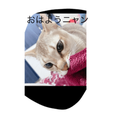 YUTO_20221123141406