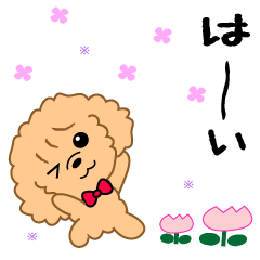Move! Daily conversation of Toy Poodle