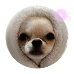 saori_20221124025621