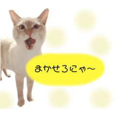 Kaede_20221124013112