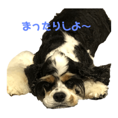 aoi_20221123163104