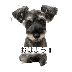 alice_20221123171228