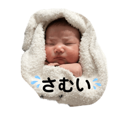 shiho_20221123154152