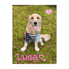 Luca3