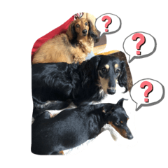 Smile_20221123175005