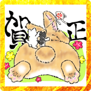 cat, rabbit and new year(1)