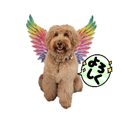 my dog talk