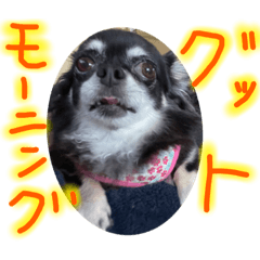 rinrin_20221123211407