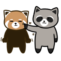 Red panda & Raccoon