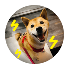 Ohana Ahna – LINE stickers | LINE STORE