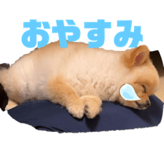 Modified version oza_yuto