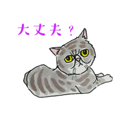 shin_20221124131345