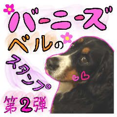 Bernese mountain dogs stickers version 2