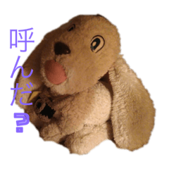 peco_20221121210152