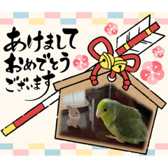 sayuri_20221124132844