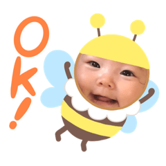 nob_20221125031016