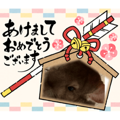 yuka_20221125081925