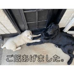 Hiroki0423_20221124210011