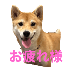 yuto_20221124225228