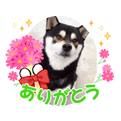 hana_20221124151352