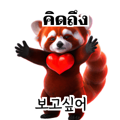 Red Panda TH KR Thai Korean oPY