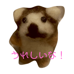 sunset japanesea_20221125124044