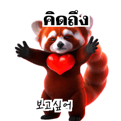 Red Panda Thai Korean TH KR Lqx