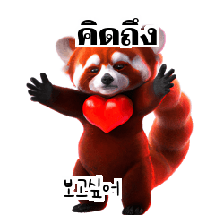 Red Panda Thai Korean TH KR cNm