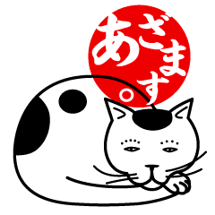 Bicolor cat Buchi  Sticker