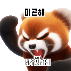 Red Panda Thai Korean TH KR Nx3