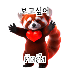 Red Panda Thai Korean TH KR 2dZ