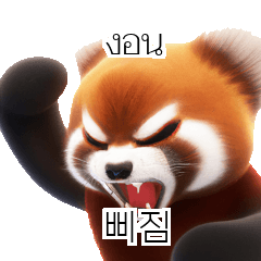 Red Panda Thai Korean TH KR zMk