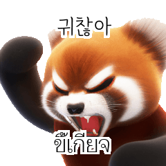 Red Panda Thai Korean TH KR INQ