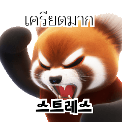 Red Panda Thai Korean TH KR Wco