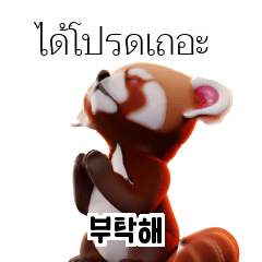 Red Panda Thai Korean TH KR wVX