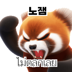 Red Panda Thai Korean TH KR kDr