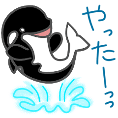 Popo-chan the Orca (mascot style)