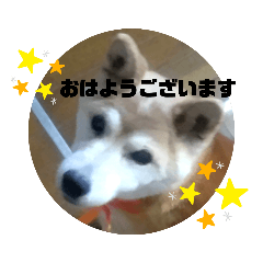 rinn_20221124161650