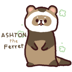 Ashton the Ferret