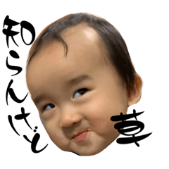 shin_20221125233452