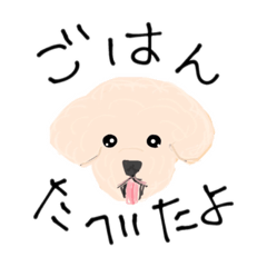 ak_20221125203456