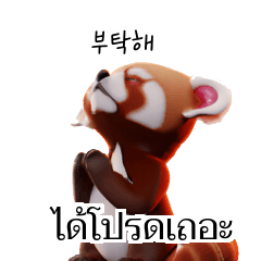 Red Panda Thai Korean TH KR Fvs